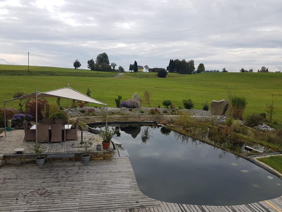 Garden view