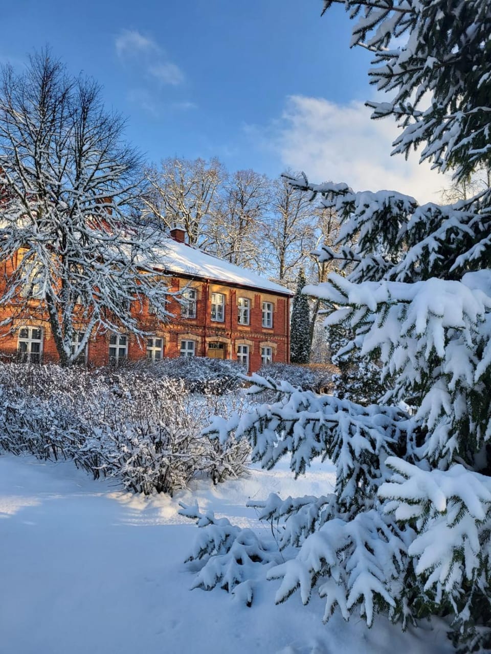 Property building, Day, Winter