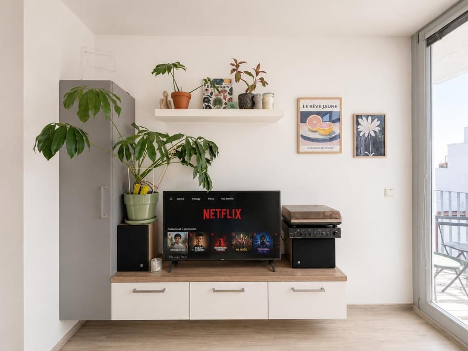 TV and multimedia