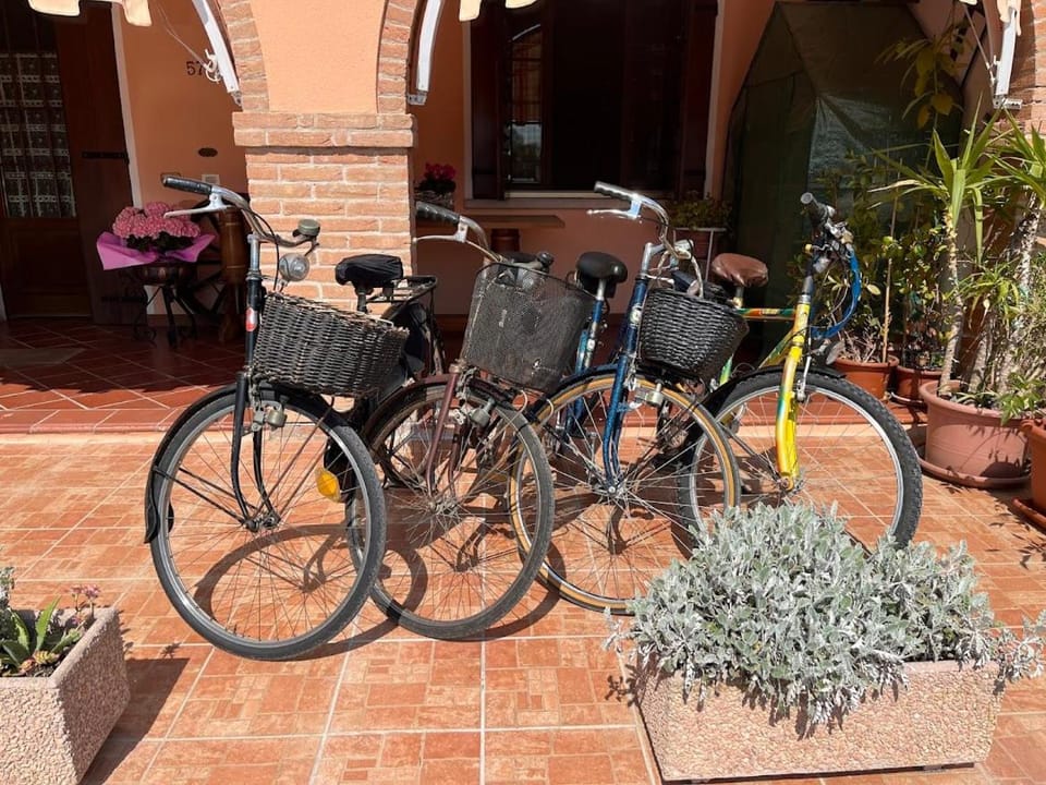 Cycling