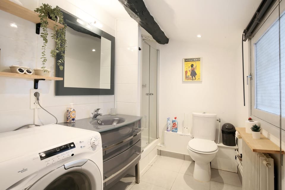Toilet, Bathroom, washing machine