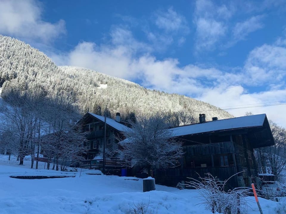 Natural landscape, Winter, Mountain view