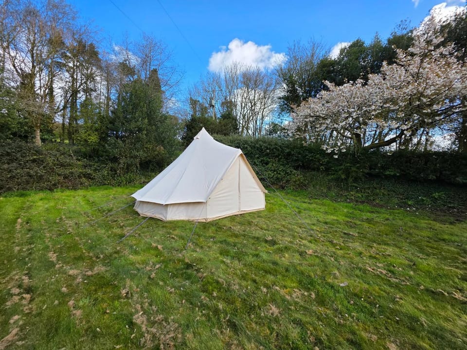 Lurley Woodland Glamping Luxury tent in Mid Devon District