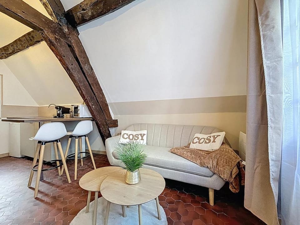 Studio center historique - Le refuge de l'antiquaire Apartment in Rouen