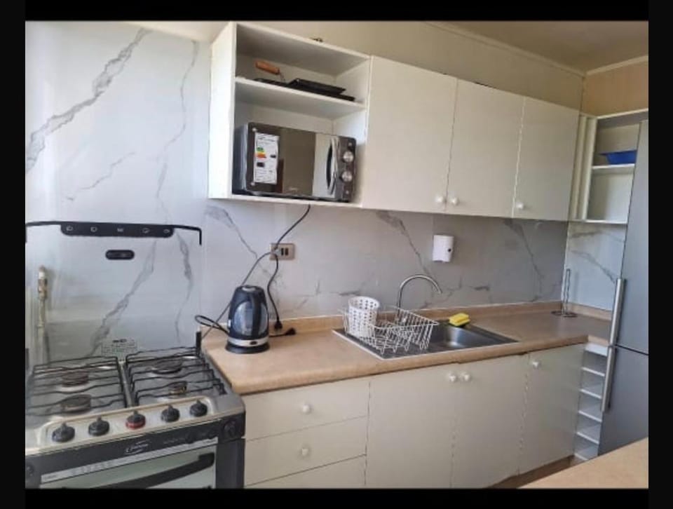 Departamento COPAYAPU Apartment in Maule