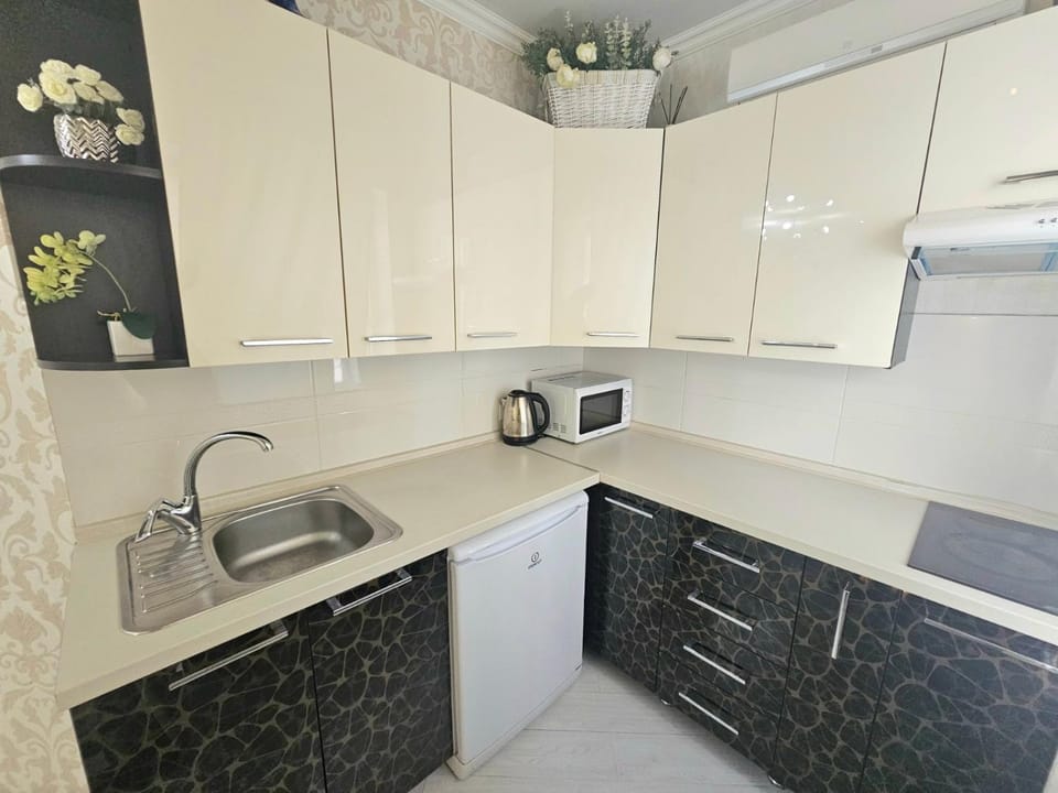 Coffee/tea facilities, microwave, stove, kitchen
