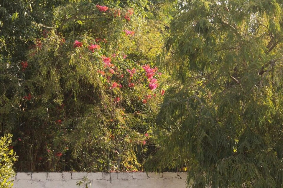 Yūgen, An Exquisite and Serene Family Stay House in Udaipur