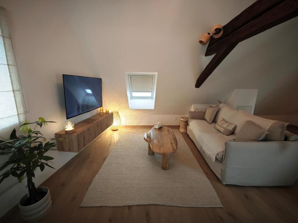 Slow Suite & Spa Erstein Apartment in Grand Est
