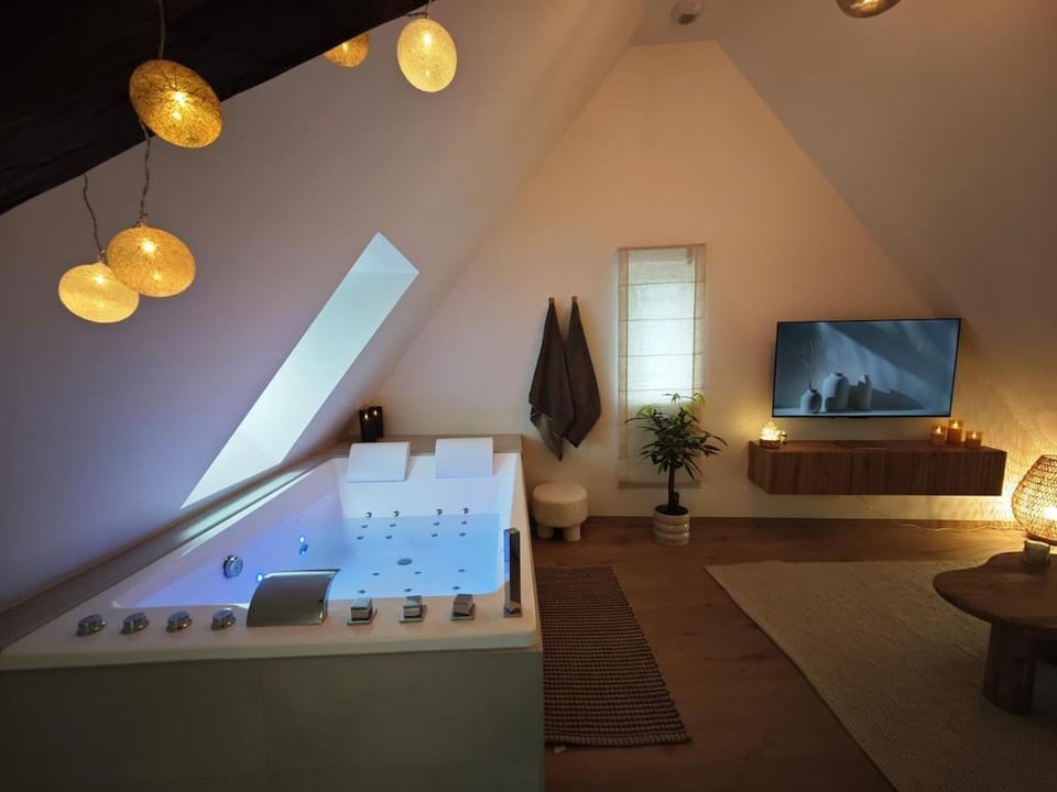 Slow Suite & Spa Erstein Apartment in Grand Est