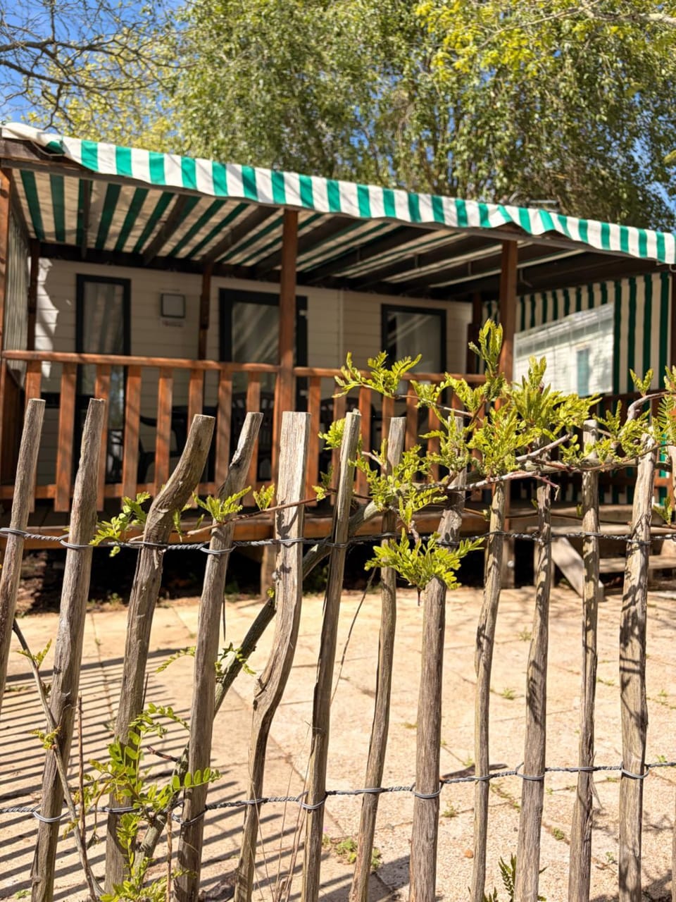 Camping - Ile de Ré - Les Acacias Campground/ 
RV Resort in Rivedoux-Plage