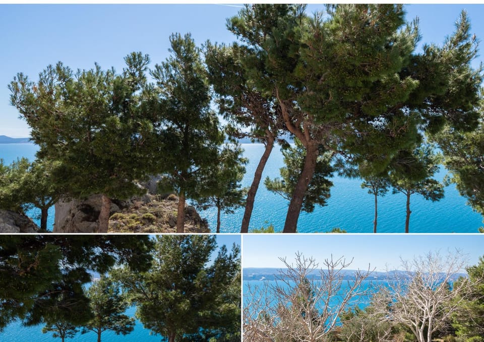 View (from property/room), Sea view