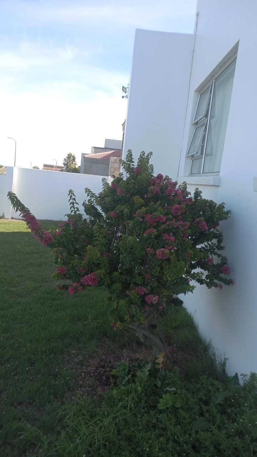 Supakim white house Bluewaterbay Apartment in Port Elizabeth