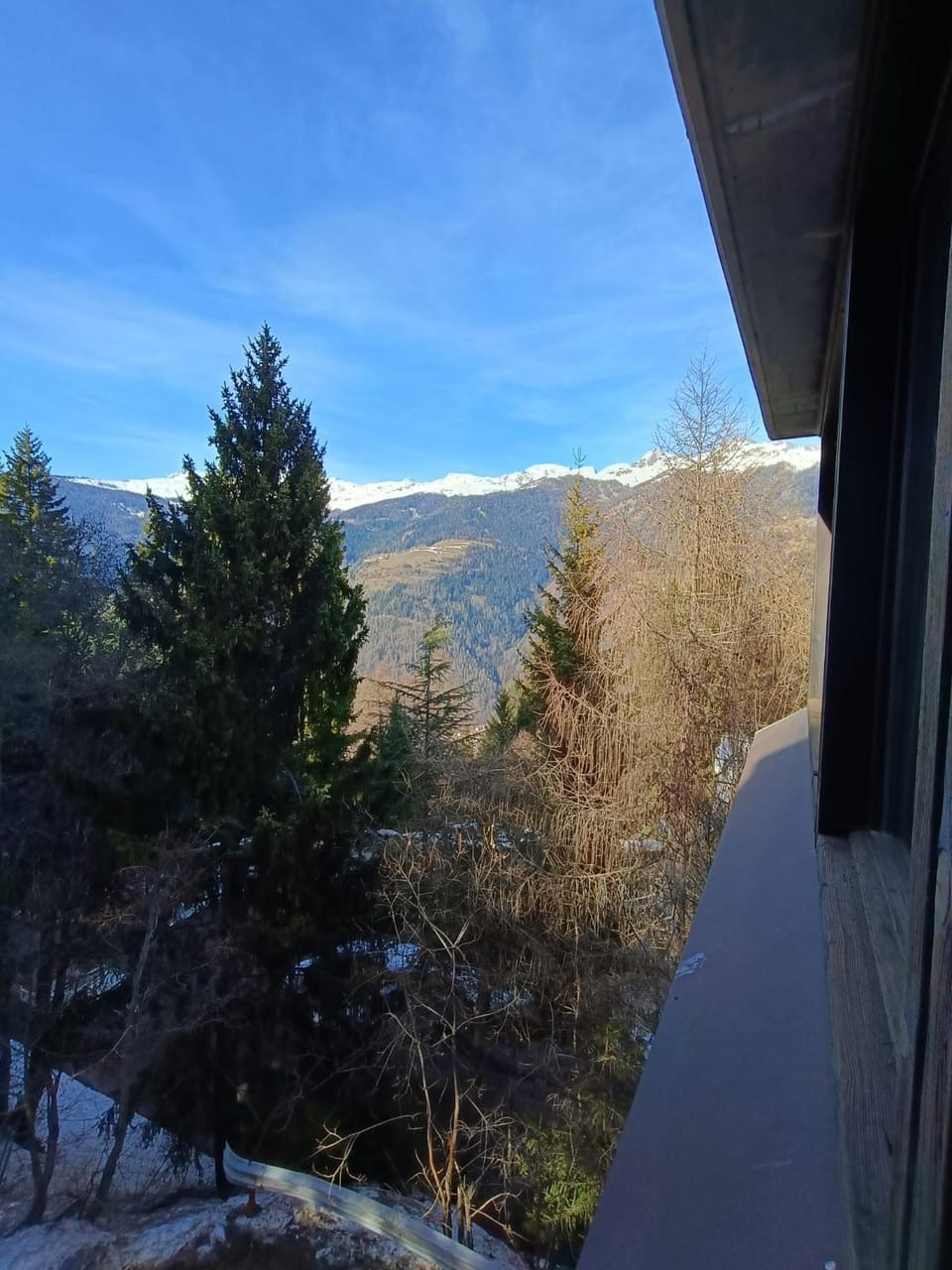 Marilleva 1400 - Alpine Apartment Apartment in Province of Brescia