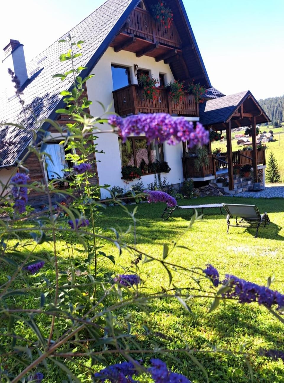 Cabana Rustik Apartment in Romania