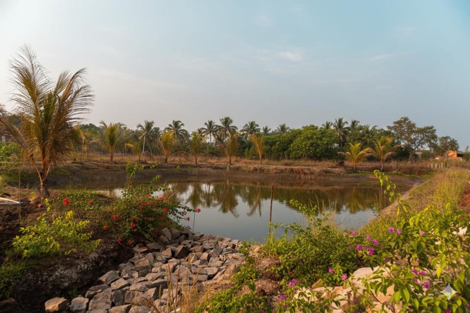 Natural landscape
