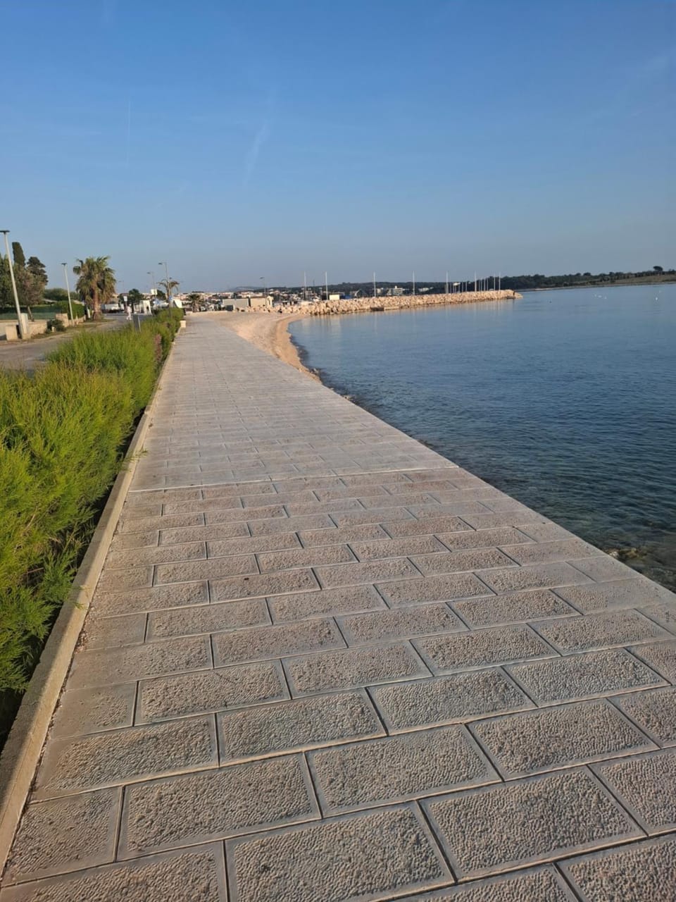 Day, Neighbourhood, Beach