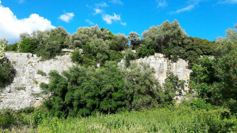Natural landscape