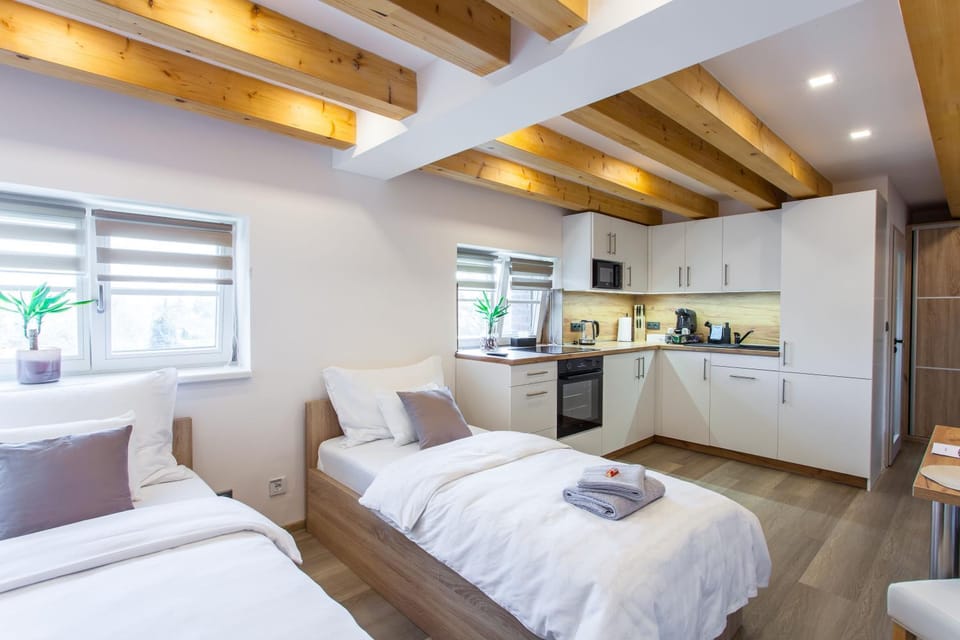 Bed, Kitchen or kitchenette, Living room, Photo of the whole room, Seating area, Bedroom, minibar, pet friendly, stove, towels