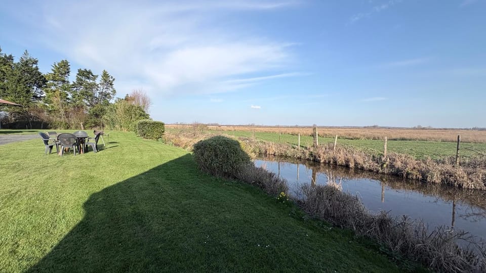 Natural landscape, River view