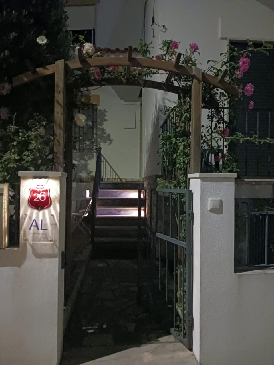 Night, Garden, Garden view