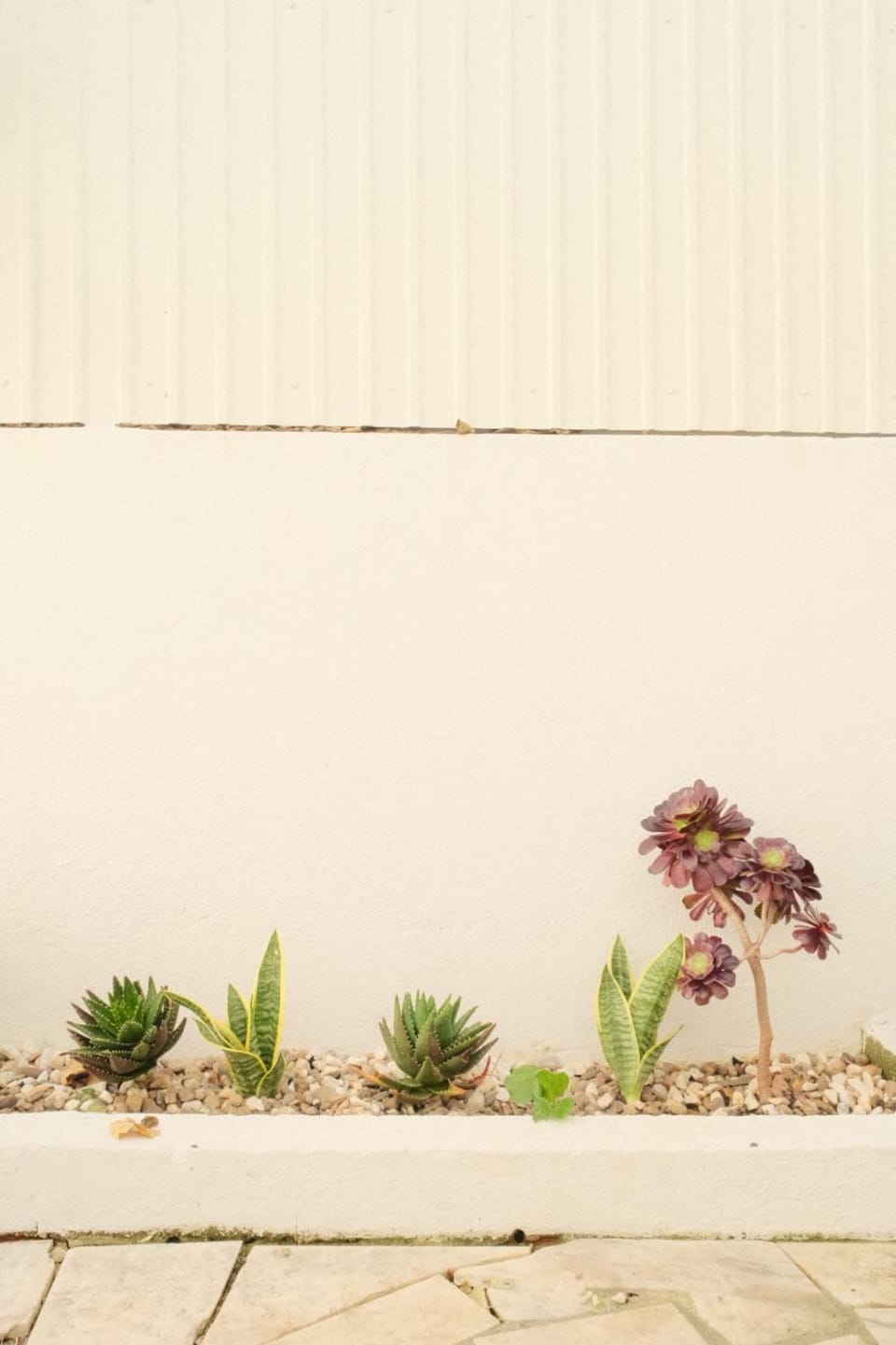 Day, Garden, Garden view