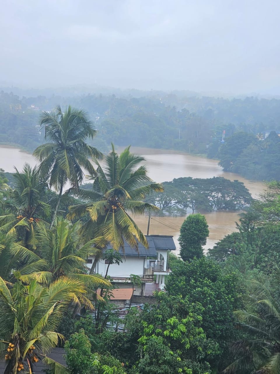 Stephanie's Home Stay Kandy Vacation rental in Gangawatakorale