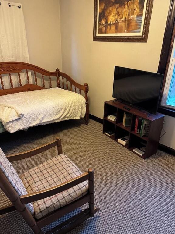 Gem in the park Villa in Youngstown