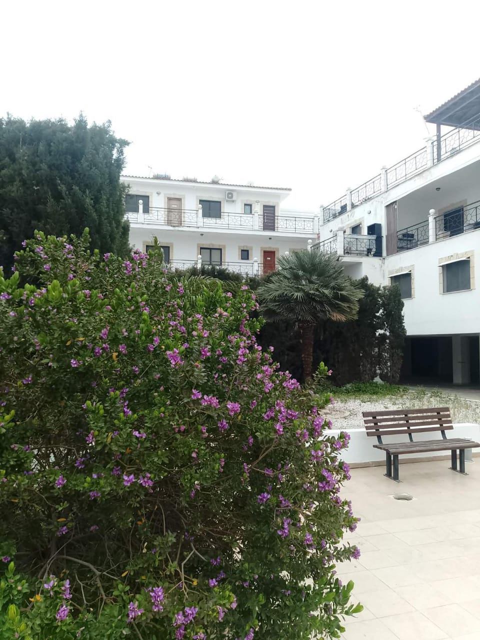 Garden, Garden view, Swimming pool