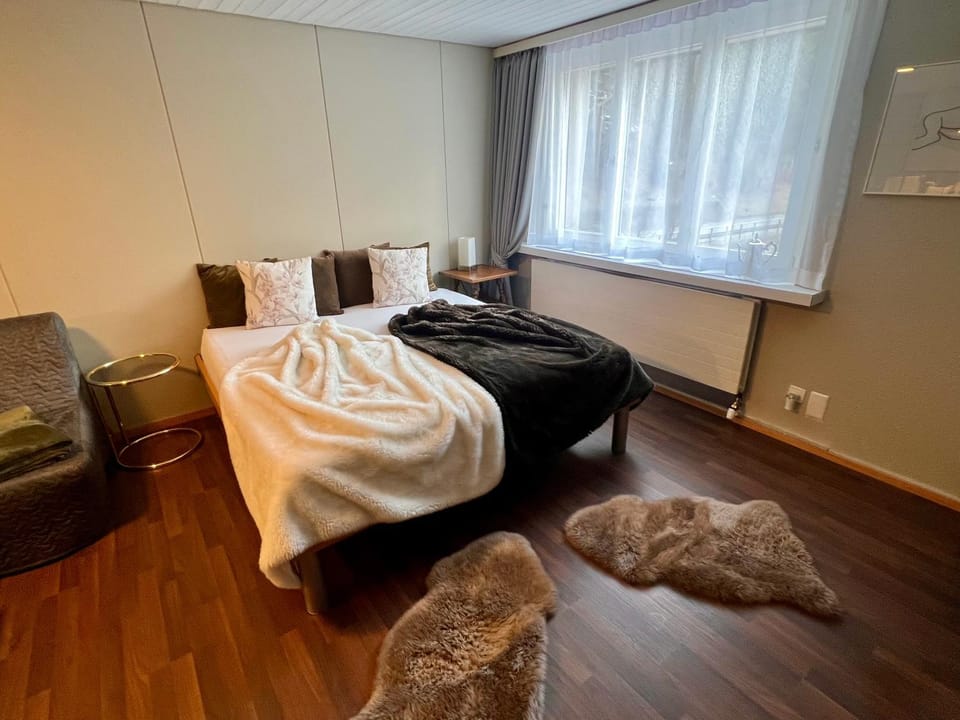 Bed, Living room, Photo of the whole room, Seating area, Bedroom