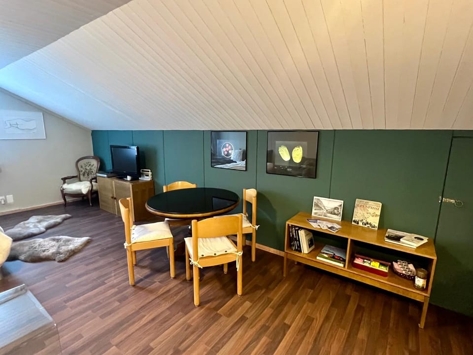 Library, TV and multimedia, Living room, Seating area