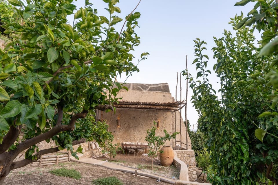 Patio, Garden, Garden view