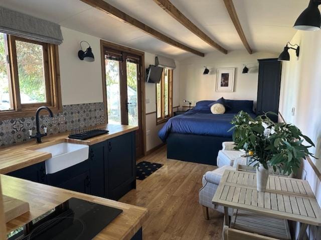 Swifts Return Shepherd's Hut House in South Norfolk District