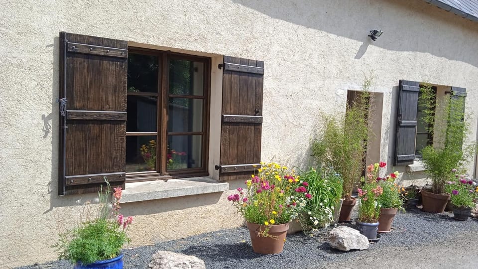Property building, Facade/entrance, Spring, View (from property/room), Quiet street view, pet friendly
