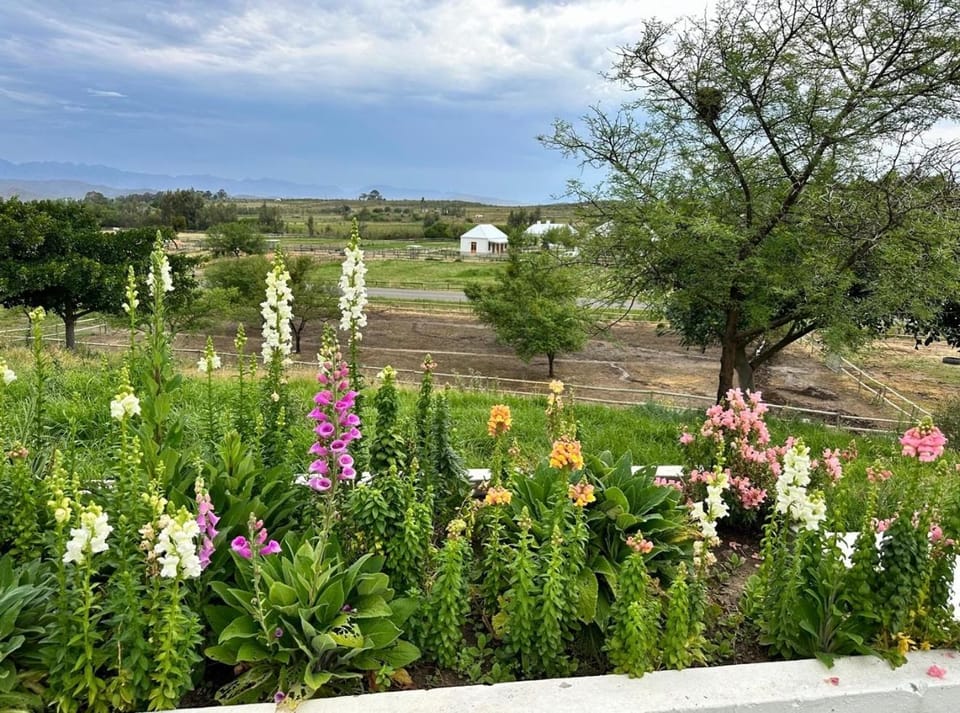 Firgrove Country House House in Western Cape