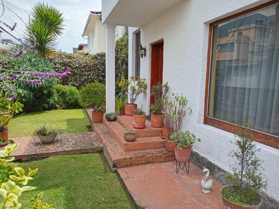 Patio, Garden