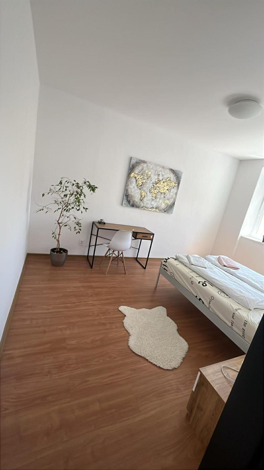 Veľký Apartmán blízko centra Apartment in Slovakia