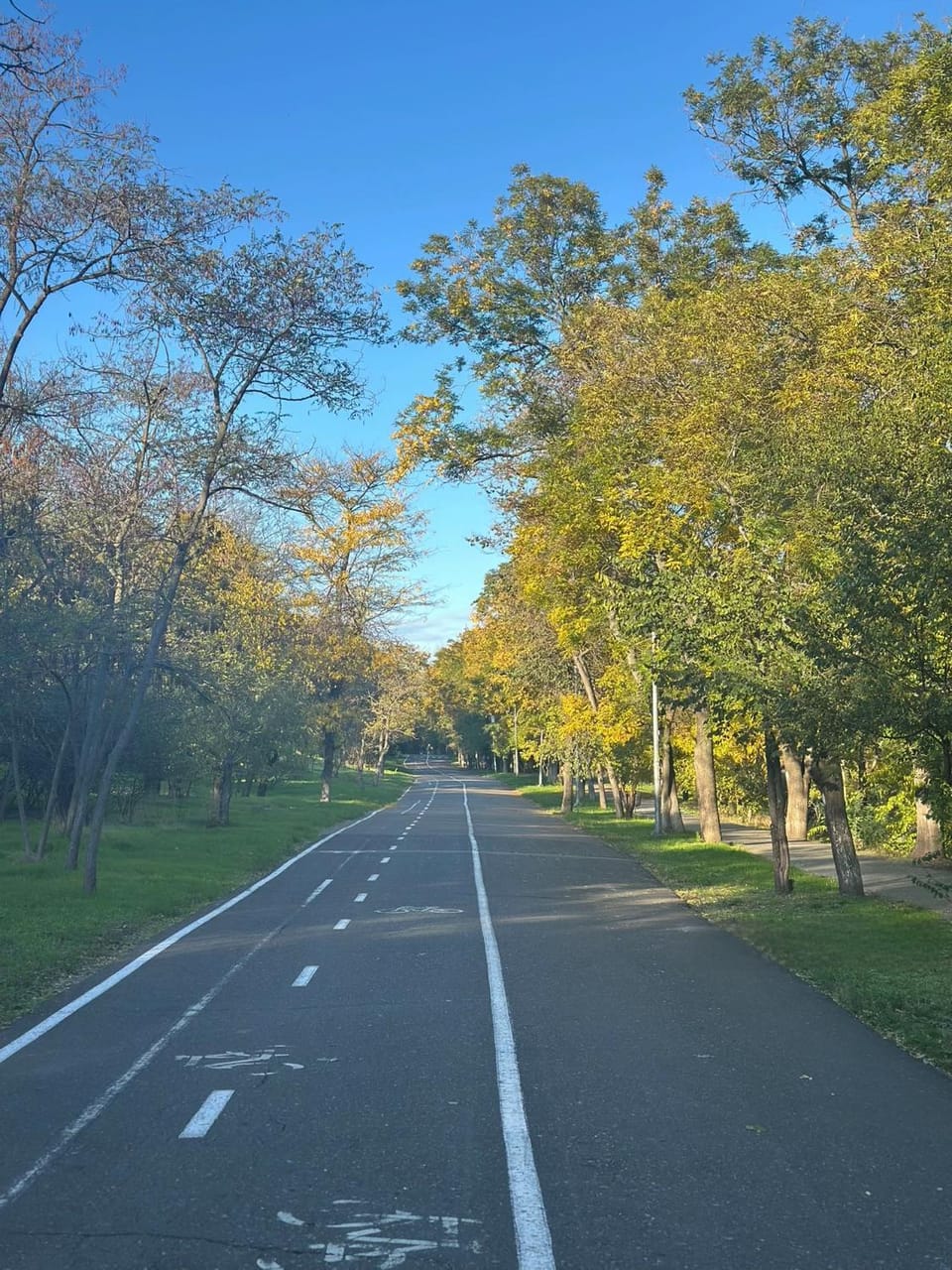 Nearby landmark, Natural landscape