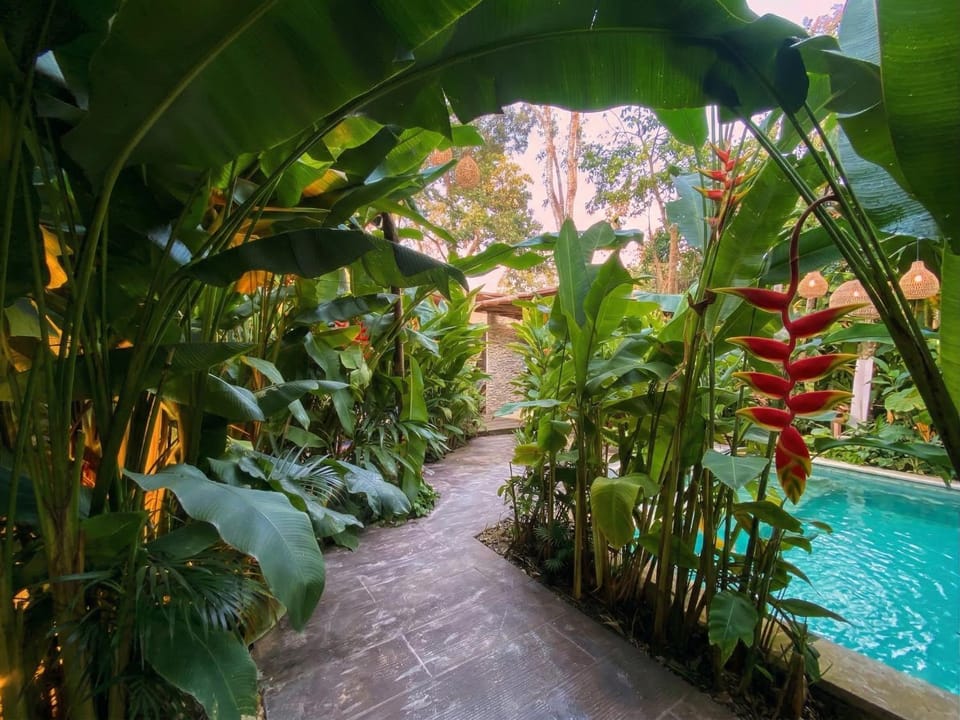 Garden, Garden view