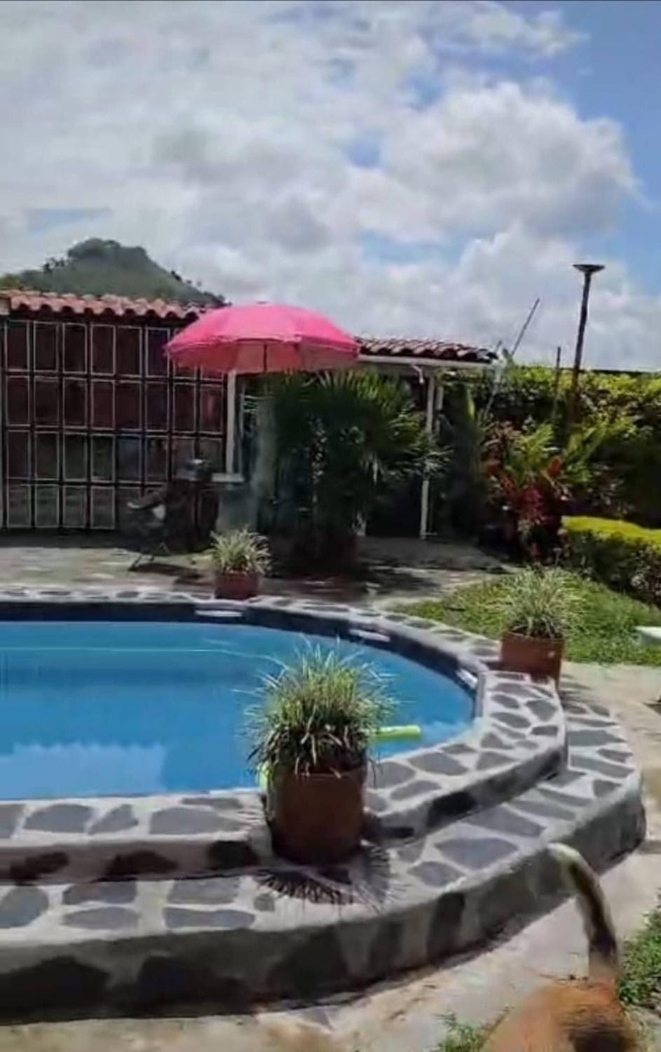 Swimming pool