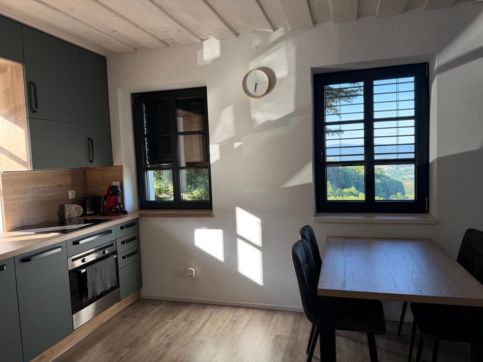 Kitchen or kitchenette, Dining area