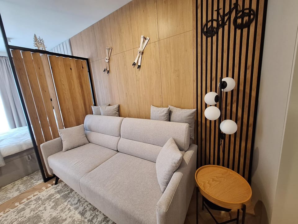 IzerSkiBike Ap 38 Apartment in Lower Silesian Voivodeship