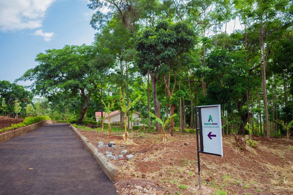 Natural landscape