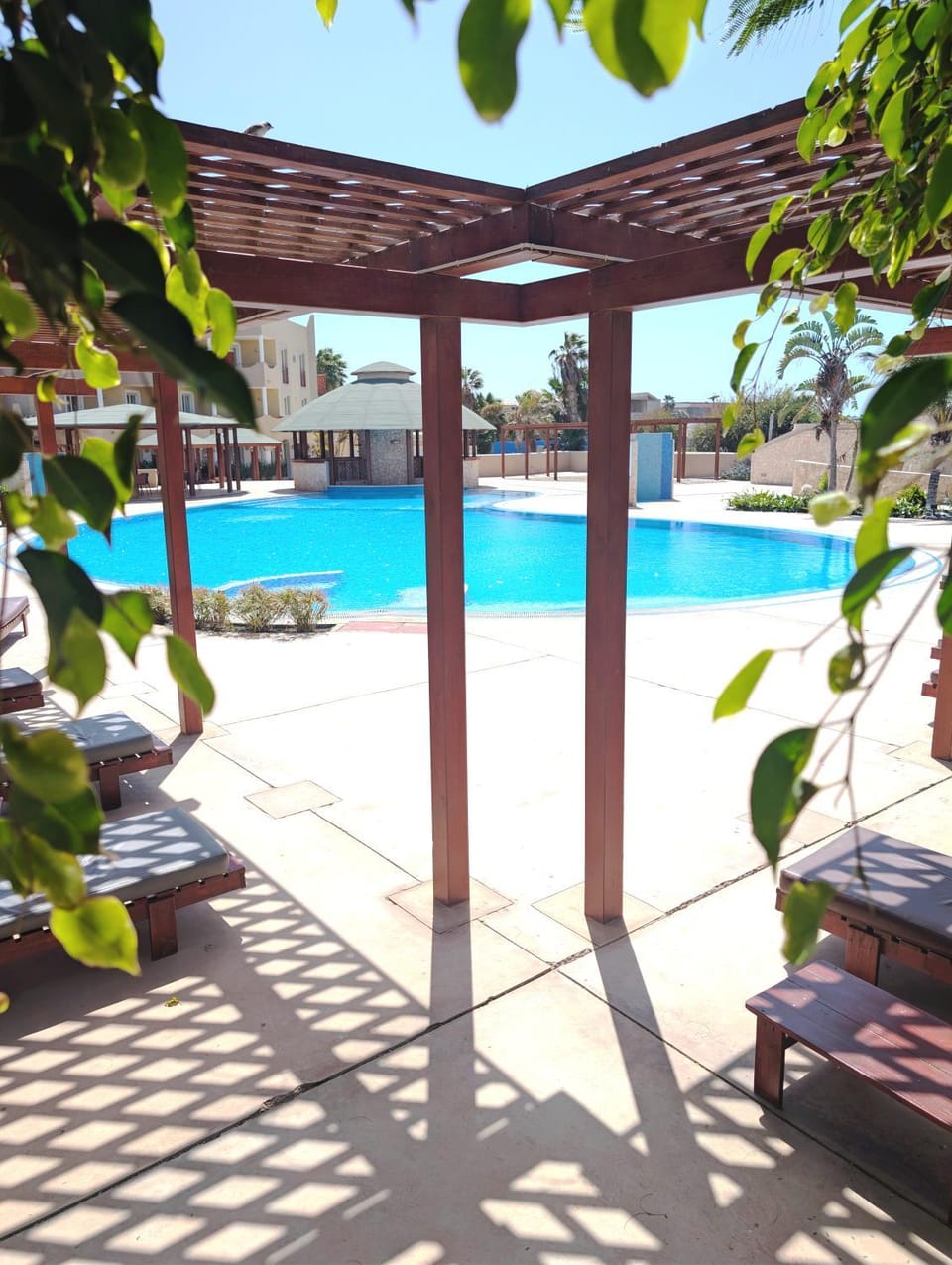 Sunny Pool Oasis - Tropical apt C12 - PointingCaboVerde Apartment in Santa Maria