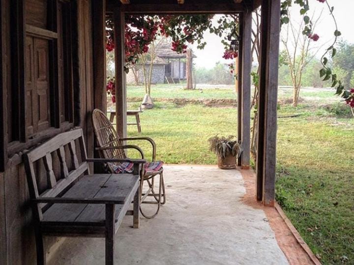 Garden view