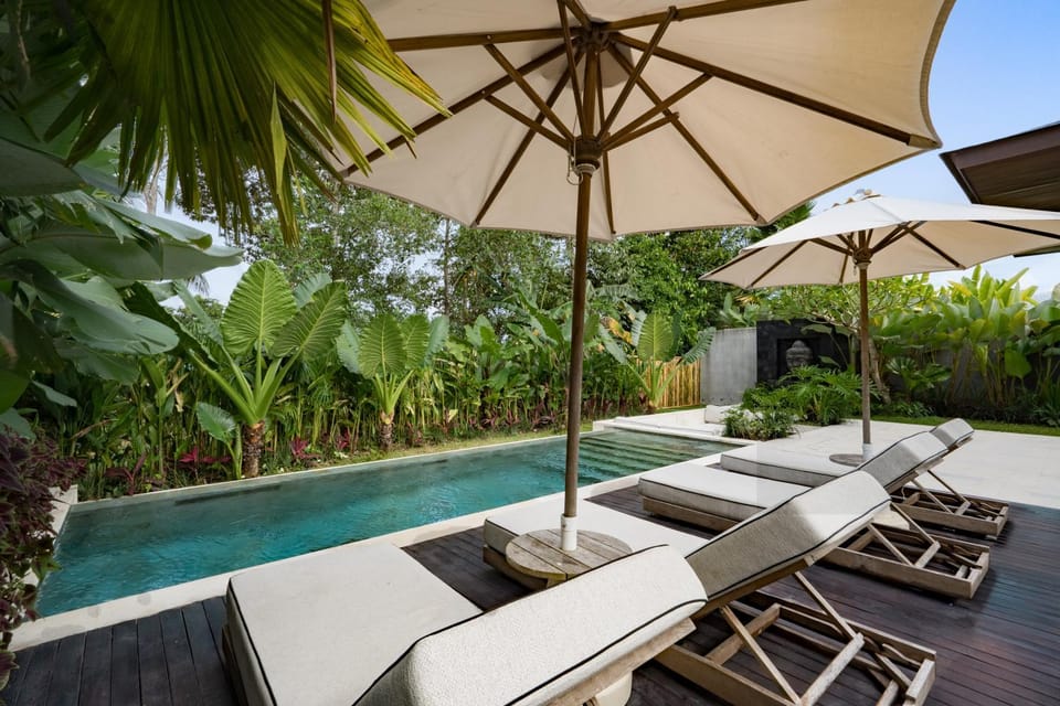 Day, Natural landscape, Garden, Garden view, Pool view, Swimming pool, sunbed