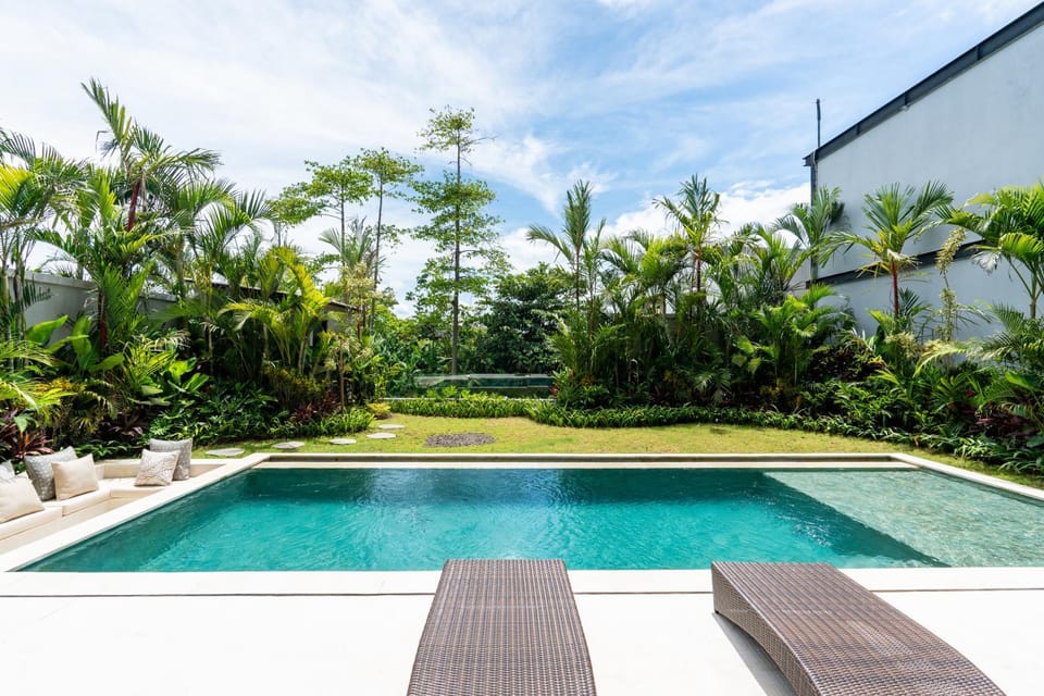 Pool view, Swimming pool, sunbed