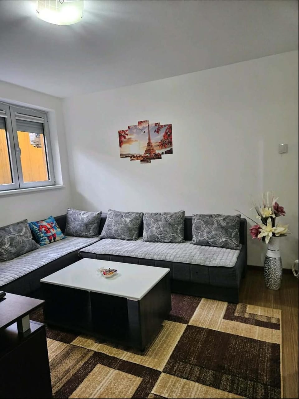 Apartman Marija III Apartment in Serbia