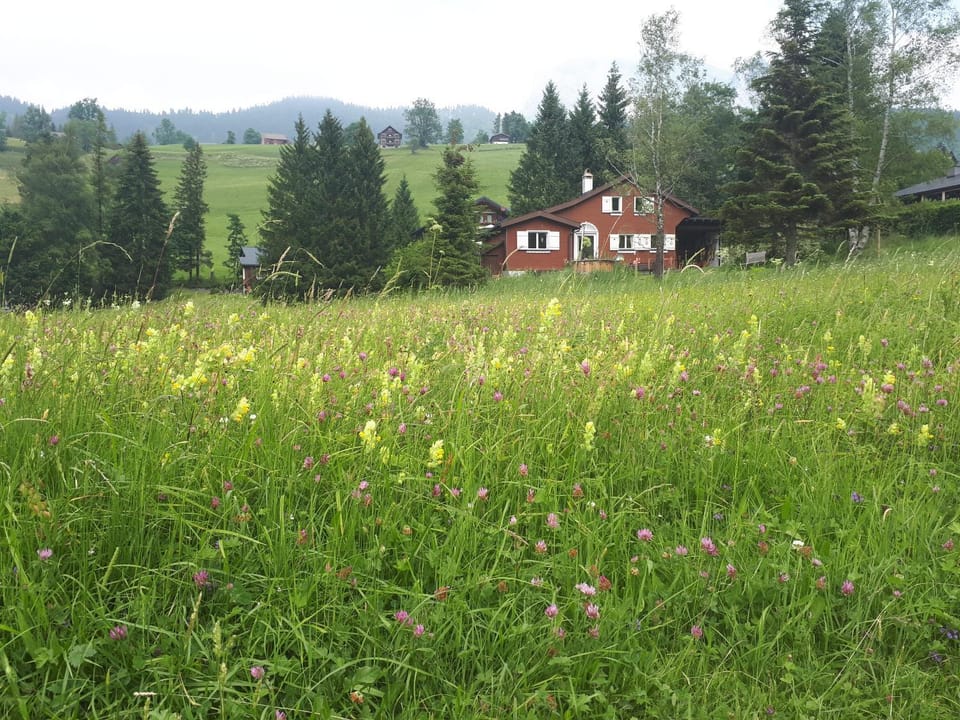 Natural landscape