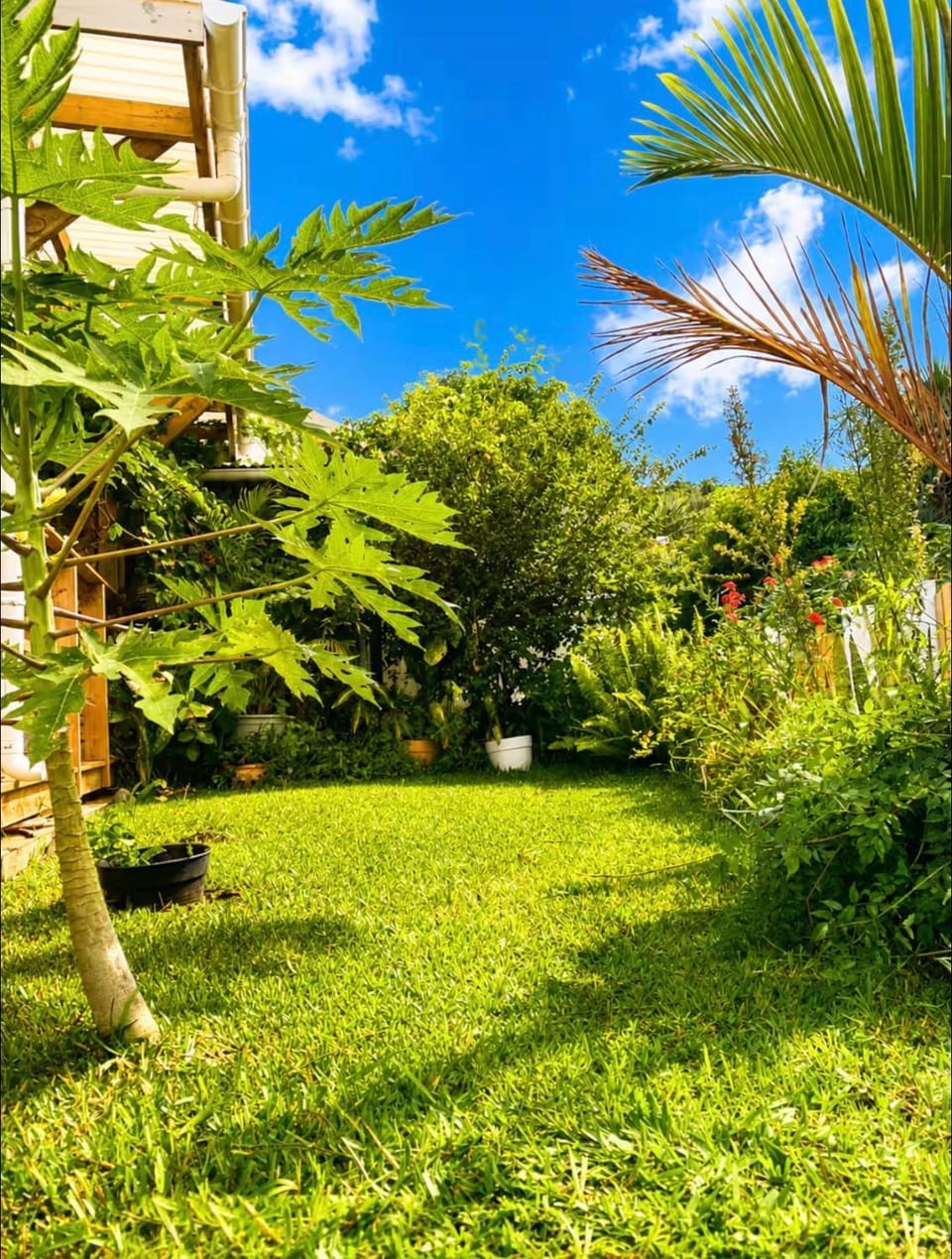 Le KOZY, LULU, FAR FAR House in Réunion