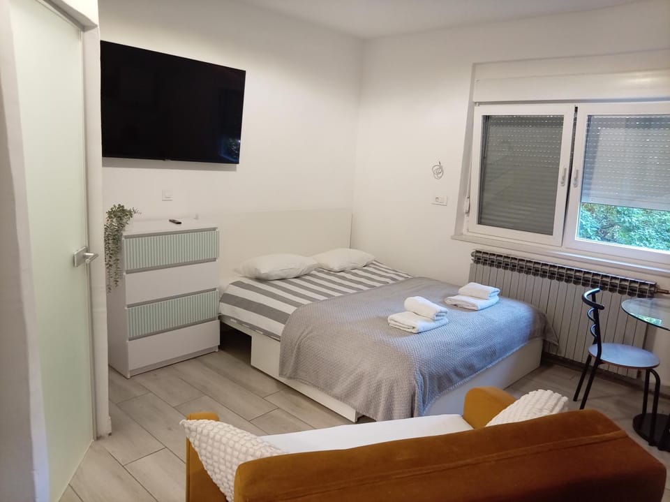 Bright & Sunny Studio Apartment in Slovenia